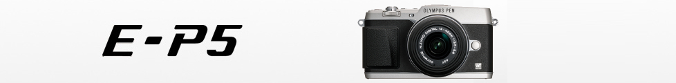 STYLUS E-P5