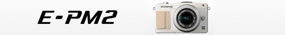 STYLUS E-PM2